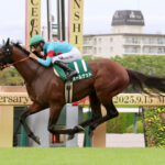 【チャレンジC】オールナットが重賞初Ｖ！モレイラいきなり重賞制覇