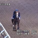 【セントウルステークス2025】追い切り/動きからレースを紐解く