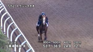 【セントウルステークス2025】追い切り/動きからレースを紐解く