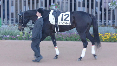 【悲報】マディソンガールまたも1勝クラス勝てず