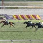 【チャレンジカップ2025】出走予定馬・騎手/挑戦の季節