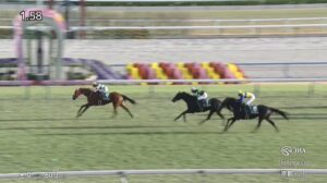 【チャレンジカップ2025】出走予定馬・騎手/挑戦の季節