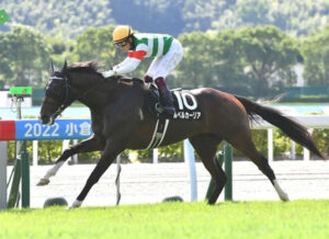 モーザリオことルペルカーリアがにスタッドイン