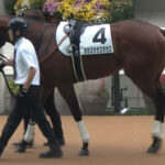 【2歳新馬】タカスタカスタカスwwwwww