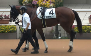 【2歳新馬】タカスタカスタカスwwwwww