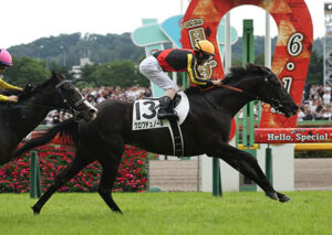 【プランスドランジュ賞】クロワデュノール凱旋門賞へ向け出走！本日発走21時33分