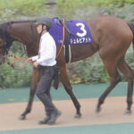 【競馬予想】[2]第43回ローズステークス(GⅡ) /2025