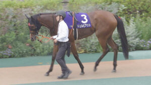 【競馬予想】[2]第43回ローズステークス(GⅡ) /2025