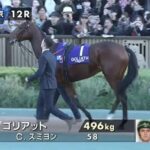 ゴリアット2年連続JC参戦確定&有馬へも転戦へ