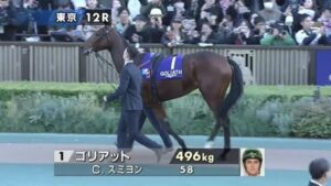 ゴリアット2年連続JC参戦確定＆有馬へも転戦へ