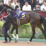 【競馬予想】第10回紫苑ステークス(GⅡ) /2025