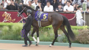 【競馬予想】第10回紫苑ステークス(GⅡ) /2025