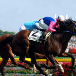 【追悼】メイショウの馬の思い出を語ってくれ