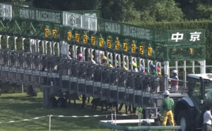 中京40℃超え灼熱競馬！暑熱対策とは何だったのか