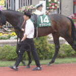 【競馬予想】[1]第76回チャレンジカップ(GⅢ) /2025