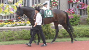 【競馬予想】[1]第76回チャレンジカップ(GⅢ) /2025