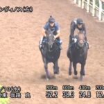 【チャレンジカップ2025】追い切り/抜群の動きを見せたのは
