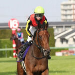 中山巧者レガレイラって皐月賞なんで負けたんや