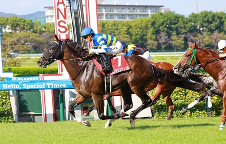 【セントウルS】8番人気カンチェンジュンガ川田がゴール前差し切りV!重賞2勝目