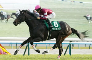 【競馬予想】[2] 第73回 神戸新聞杯(GII) /2025