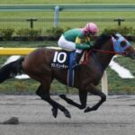 タガノビューティーが電撃引退 種牡馬入り