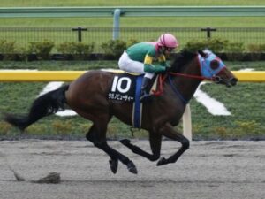 タガノビューティーが電撃引退 種牡馬入り