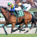 【スプリンターズS】ママコチャ6着岩田望来「原因は分からないです」