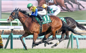 【競馬予想】[2]第39回セントウルステークス(GⅡ) /2025