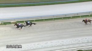 【白山大賞典2025】結果・動画/ジャスパーロブストが逃げ切りV
