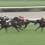 【セントライト記念2025】結果・動画/ミュージアムマイルがきっちり勝ち切る