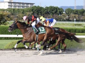 【シリウスS】8番人気ホウオウルーレット差し切りV！重賞初勝利