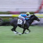 新馬快勝のアストロレガシーが両脚屈腱炎