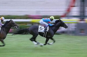 新馬快勝のアストロレガシーが両脚屈腱炎