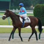 骨折休養のアロンズロッド、来月に東京競馬で復帰