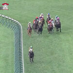 【丹頂S】ミステリーウェイ松本大輝の大逃げwww