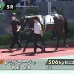 レッドラージャ(父コントレイル)が初ダート未勝利戦に挑む・・・結果は