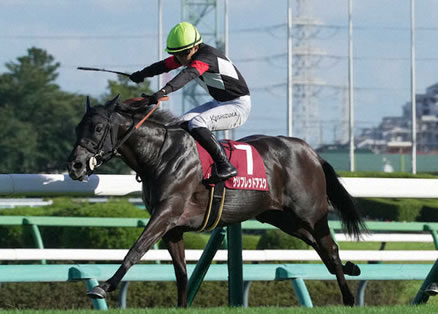 【紫苑S】7番人気ケリフレッドアスクが逃げ切りV!人馬ともに重賞初制覇