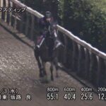 【紫苑ステークス2025】追い切り/抜群の動きを見せたのは