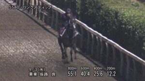 【紫苑ステークス2025】追い切り/抜群の動きを見せたのは