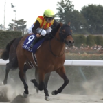フェブラリーS馬コスタノヴァは南部杯を断念して武蔵野Sへ