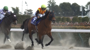 フェブラリーS馬コスタノヴァは南部杯を断念して武蔵野Sへ