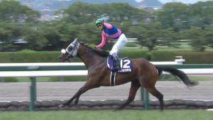 【追悼】メイショウの馬の思い出を語ってくれ