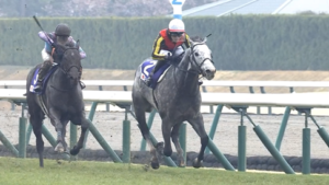 マッドクール引退