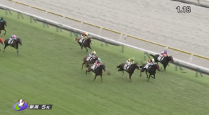 グランマエストロさん…