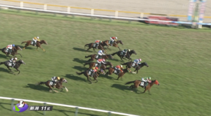 シランケドの適正距離ってどこよ？　他