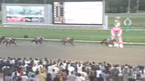 【不来方賞】ナルカミ&戸崎騎手がキタ━━━━(゚∀゚)━━━━!!