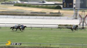 サートゥルナーリア産駒カヴァレリッツォ強すぎワロタｗｗｗｗ