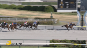 【名古屋城S】テーオーパスワード強すぎワロタ