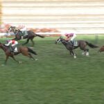 【札幌2歳S】ショウナンガルフ&池添騎手がキタ━━━━(゚∀゚)━━━━!!