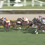 紫苑ステークス 反省会